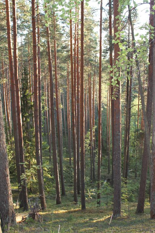 Hotel Kruunupuisto Punkaharju Εξωτερικό φωτογραφία