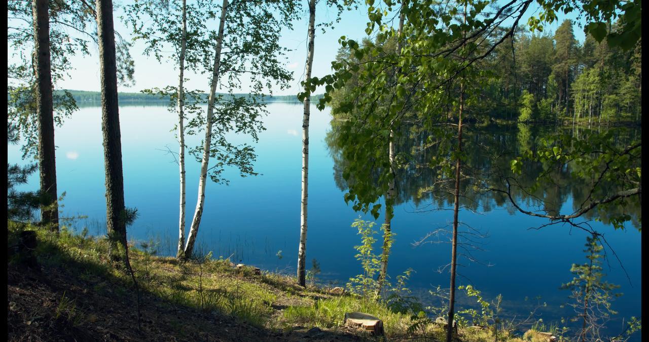 Hotel Kruunupuisto Punkaharju Εξωτερικό φωτογραφία